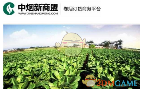 代表建议立法明确规范骑手五险一金缴纳，这一议案有哪些考量？若实施将带来哪些影响？